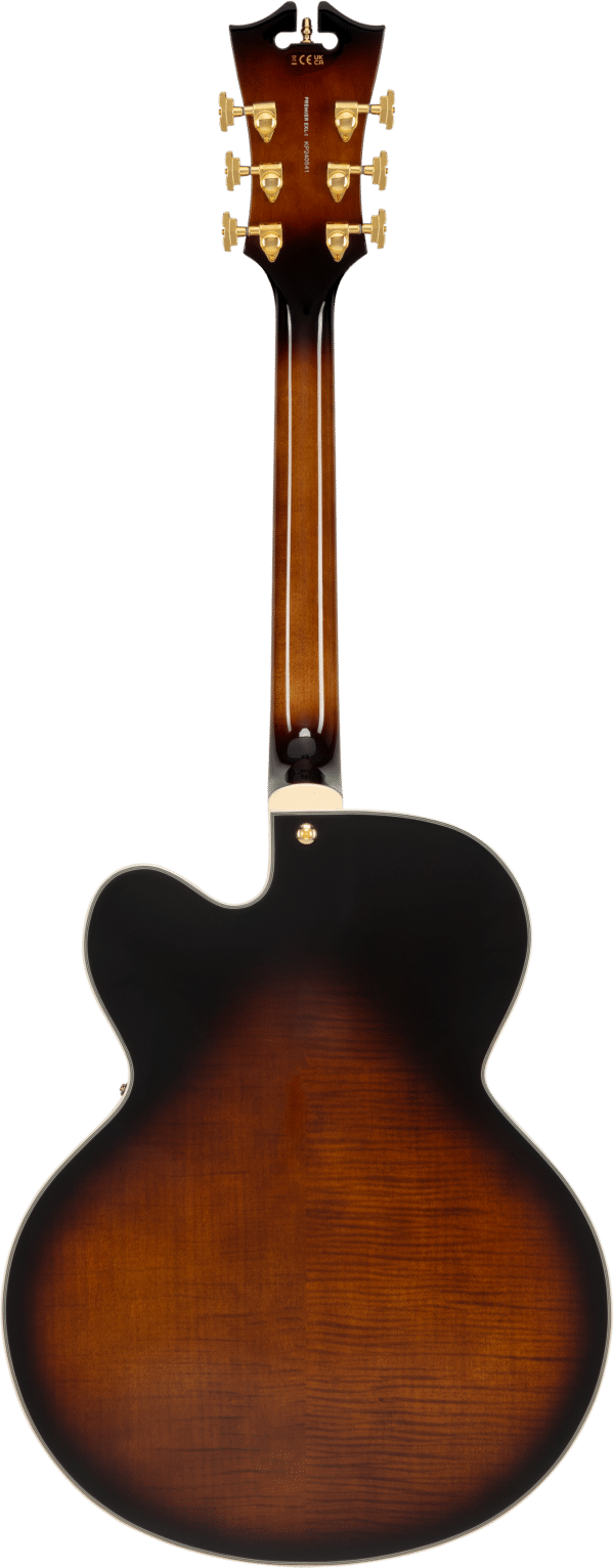 D'Angelico EXL-1 - immagine 6