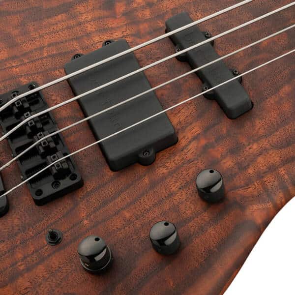 Warwick Thumb 4 BO LTD 2024 - immagine 4