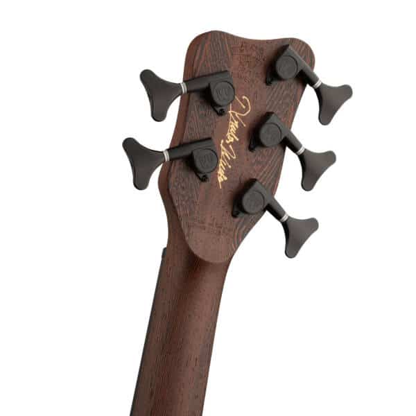 Warwick Thumb 5 BO LTD 2024 - immagine 3