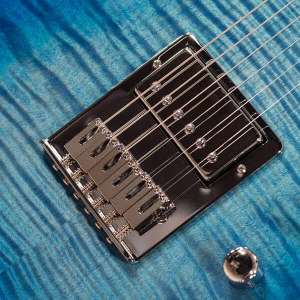 Schecter PT Custom HH Reserve LTD - immagine 6