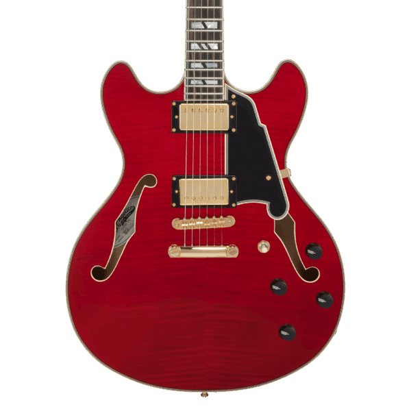 D'Angelico Excel DC Trans Cherry - immagine 5