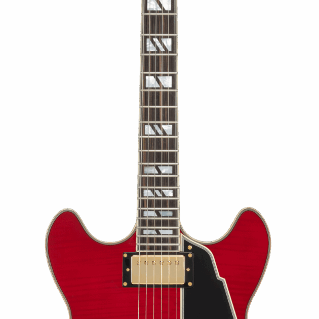 D'Angelico Excel DC Trans Cherry