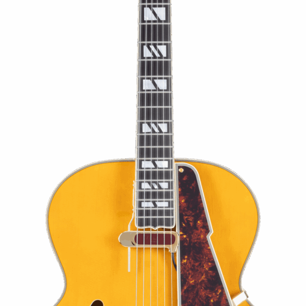 D'Angelico Excel Style B