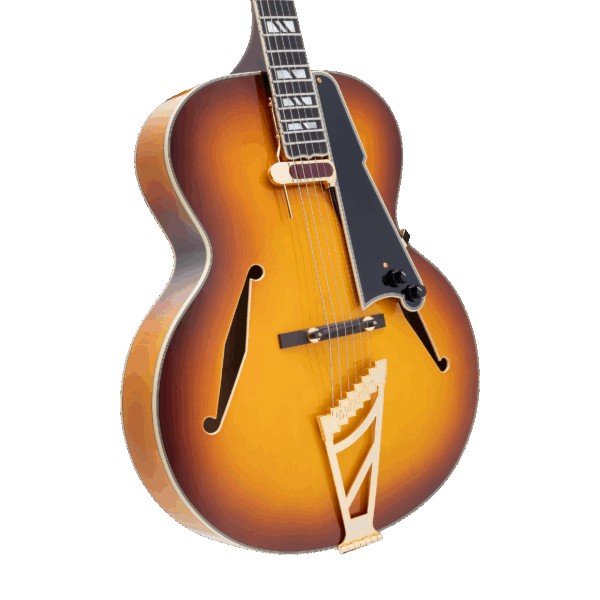 D’Angelico Excel Style B - immagine 2