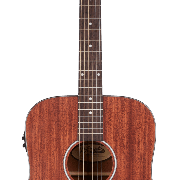 D'Angelico Premier Lexington LS