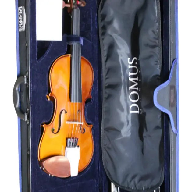 Violino Domus Allievo 1